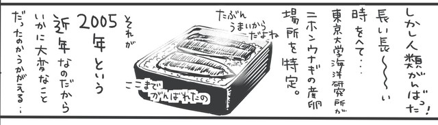 うなぎが好きな日本の研究が、近年進んでいます（提供：松本ひで吉さん）