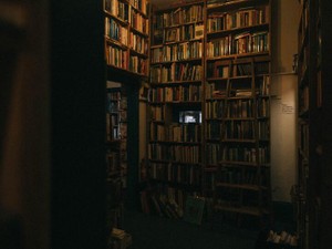 湿気った紙の匂いの図書館で、薄暗い興奮とともに腐女子がめざめた