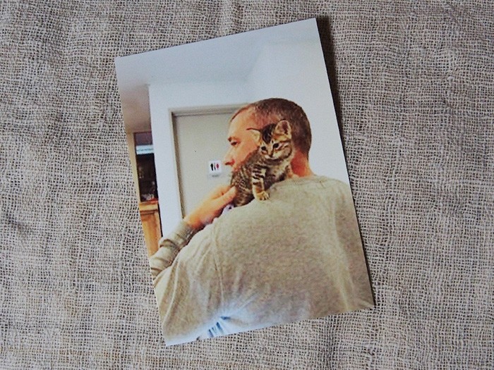 ジョンさんに保護されたばかりのチーたん