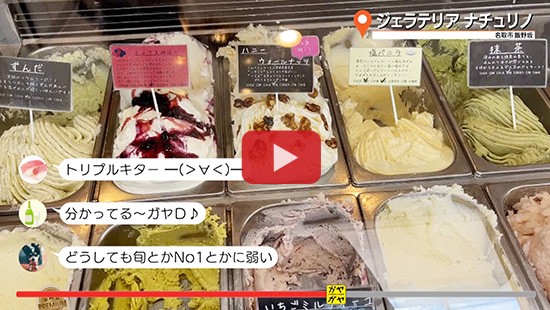 #718ジェラテリア ナチュリノ①