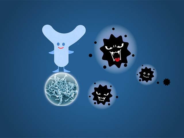 腸が免疫や感染症とも関係！？カギを握る善玉菌