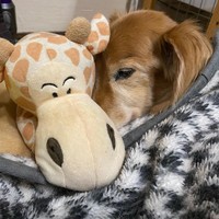 あったかいね＝shakyamunico0408さん提供