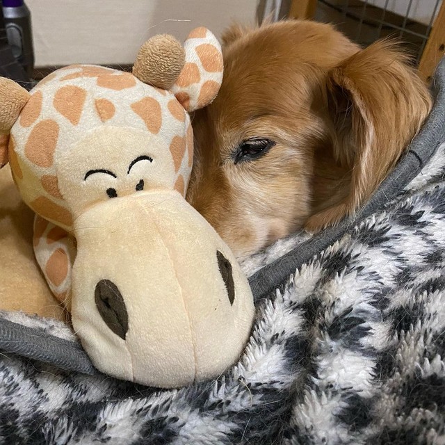 あったかいね＝shakyamunico0408さん提供