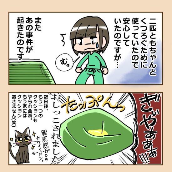 パンは来てしばらく、「シャーシャーかつジャージャー」でした。今は両方なおりました！いつか２匹の漫画を何かにまとめられれば、とあいみさん（あいみさん作画、提供）