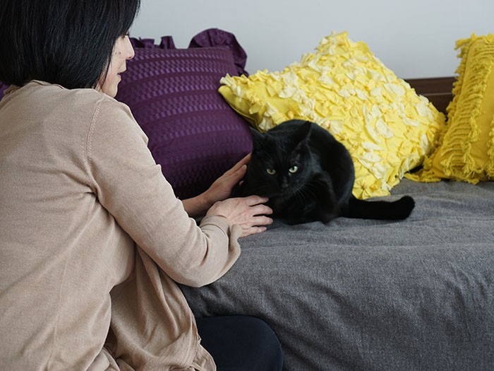 雅子さんと「初めての男子猫、可愛いわ」