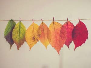 高校生からオタクな私のお金との付き合い方。変化も含めて楽しみたい