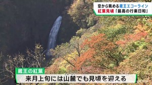 宮城・蔵王エコーラインの紅葉が見頃に　多くの観光客が訪れる