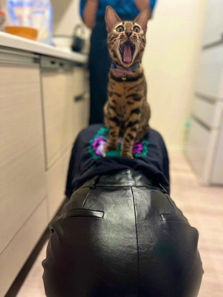 娘さんを土台にして雄たけびをあげるなど、元気な姿が見られている