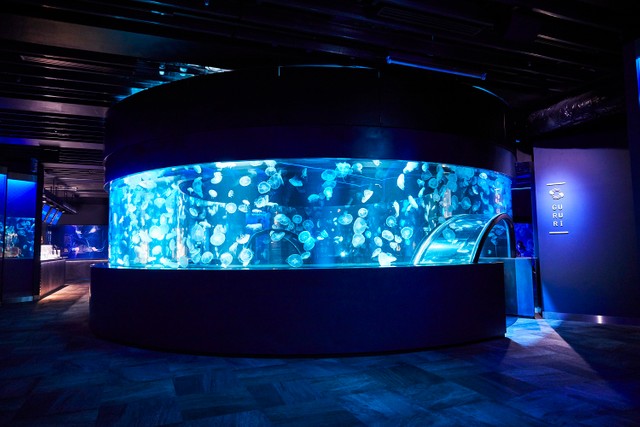 ３６０度パノラマ水槽「GURURI」（提供・京都水族館）