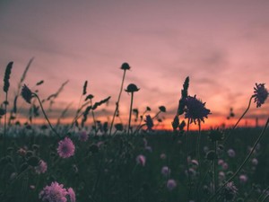 「これあげるよ」あの時のたまご握りのお礼を言わせてください