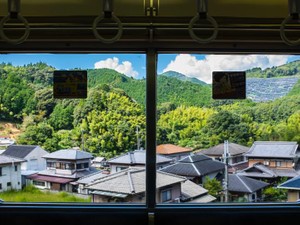 夏休み間近、駅への最後の信号。初めて好きになった人を追いかけた