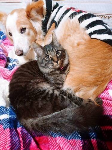 母娘に愛され、賢斗に守られ、すくすく成長（多恵子さん提供）