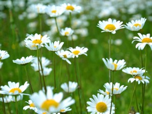 わがままや悪い事をしてもすぐ謝れない。心を罪悪感で汚さないように