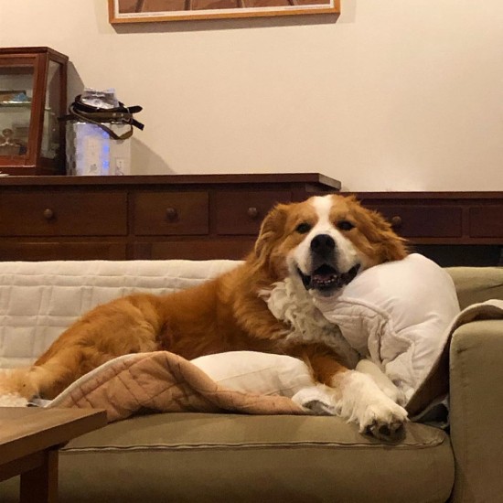 まったりおくつろぎ中