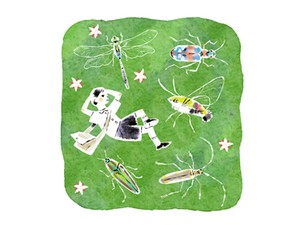 虫に胸躍る、年重ねても　青来有一