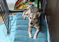 すっかり馴染んでくれたキリちゃん