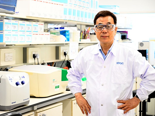 ☆超希少品☆ 全検(全般検査) 標記サボ 『49-12 竜華区』 ☆超希少品