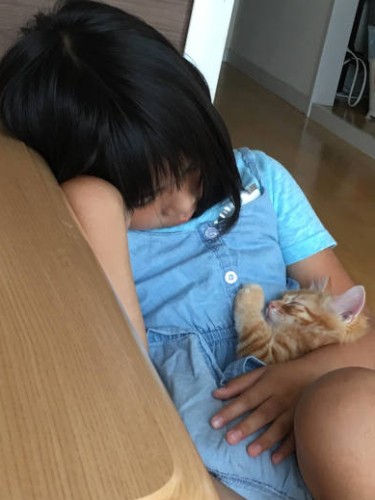 「つくねは甘えん坊であざとい性格」とあゆみさん（あゆみさん提供）