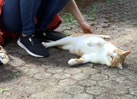 学生の間ではアイドル的存在だった（斎藤さん提供）