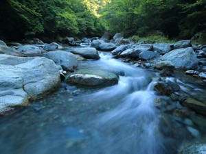 15泊16日で回った東北は、疲れ果てた私を受け止めてくれた