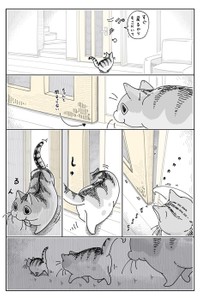 【漫画】「ドアをこじ開けるネコ」