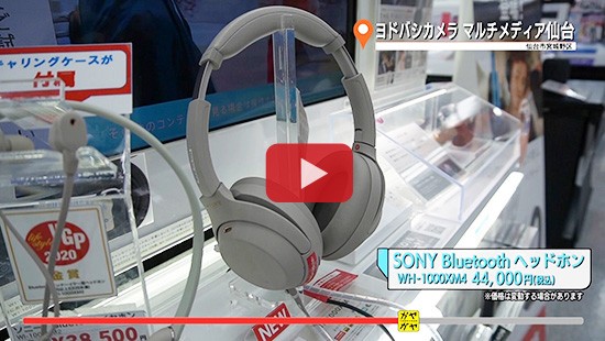 #410ヨドバシカメラ マルチメディア仙台⑩