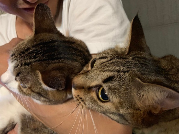 弟のレオがくっついてくるのよ