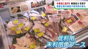 水産加工品をＰＲ　利用されていなかった魚にも注目　仙台・若林区