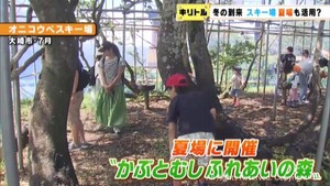 スキー場は冬ではなく夏に利用者が増える？　新たな活用