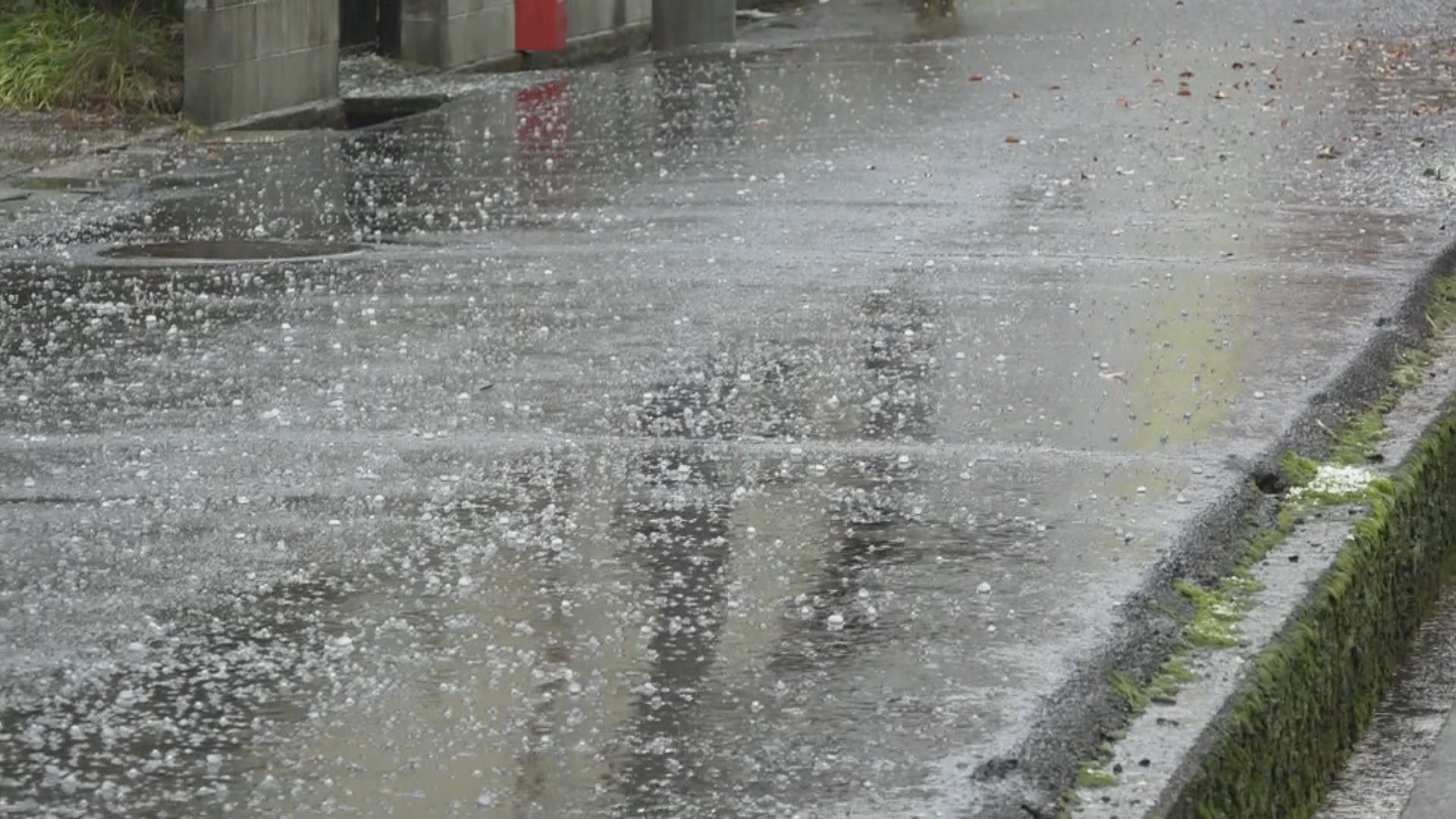 d4b8d5efaec75d6cd0443a6954e07a