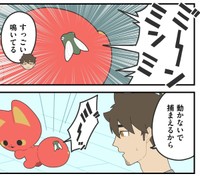 ベニのしっぽに飛びついた！©ヤシン／KADOKAWA