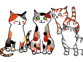 竹脇家に初めて外国の猫が来た！？ のんびり屋のボギーとおてんば娘の