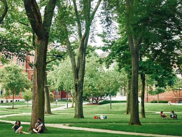 アメリカのエリート大学、結局はコネ？　調査でわかった「レガシー優遇」入学の実態