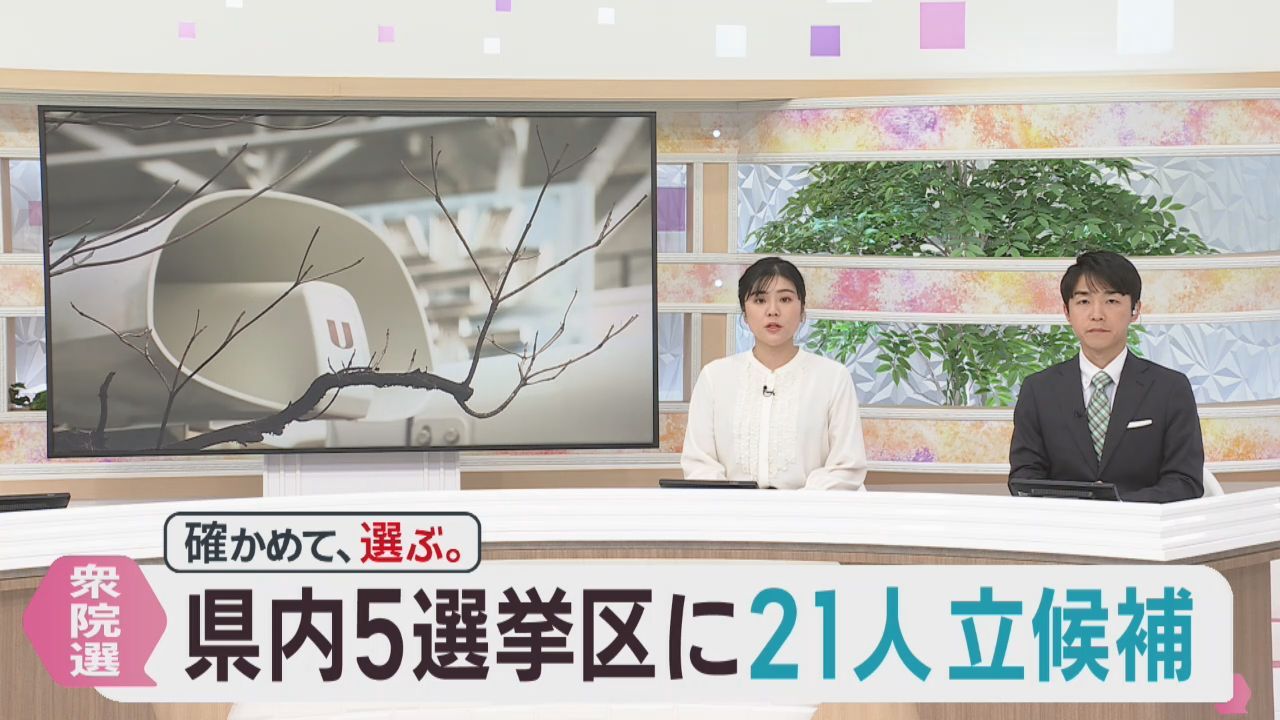 衆議院選挙公示　宮城県５つの小選挙区に２１人が立候補