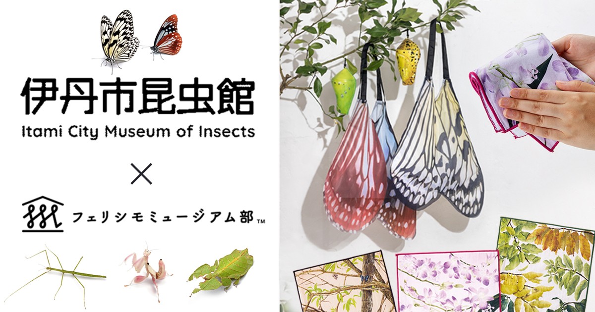 二度見必至！？神秘的なデザインの蝶の翅エコバッグ フェリシモと伊丹