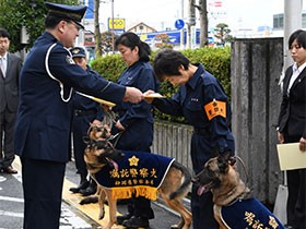 嘱託警察犬にシェパード７頭を任命　静岡南署で委嘱式