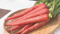 金時にんじんの収穫が坂出市で最盛期　香川県が生産量全国1位