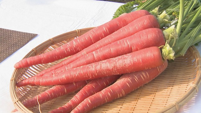 金時にんじんの収穫が坂出市で最盛期　香川県が生産量全国1位