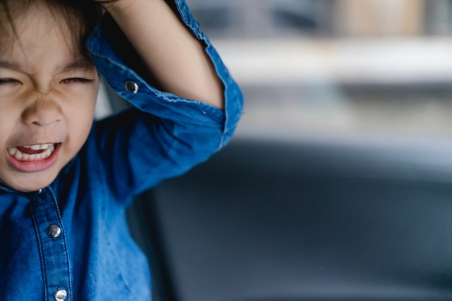 （MIA Studio/stock.adobe.com）