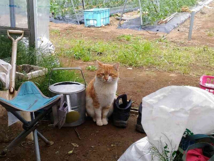 農具小屋で(友さん提供)