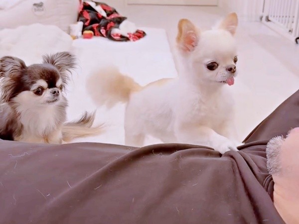 「わあ！」 うにちゃんの言葉に大喜びするお父さん、撮影者のお母さん（画像提供：うにちゃん＆えびちゃん）