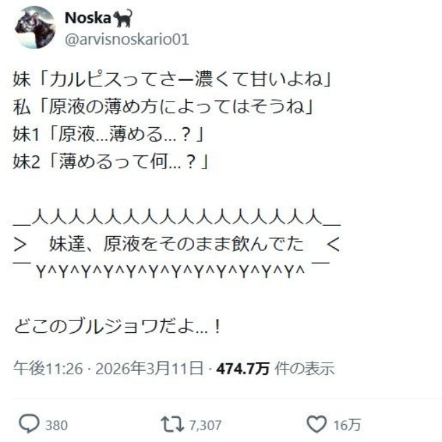 NoskaさんのXのポスト ※NoskaさんのXより抜粋