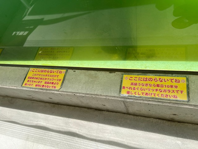 （なおさん提供）