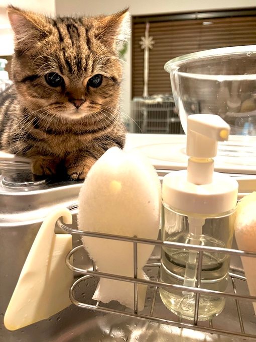 ちゃんとやれよ的な圧を感じる…