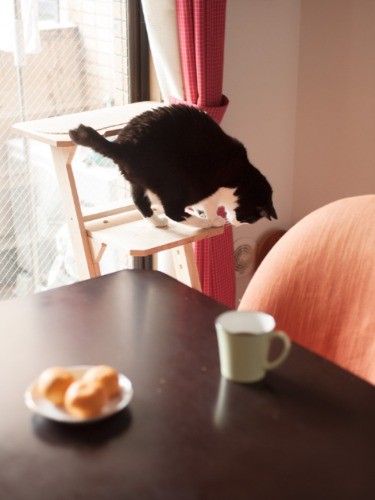 「そろそろ降りよう」（小林写函撮影）