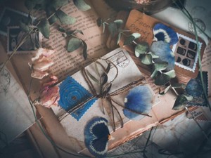 別れた彼がくれた手紙を読み返す。役目を終えた愛の言葉を供養する