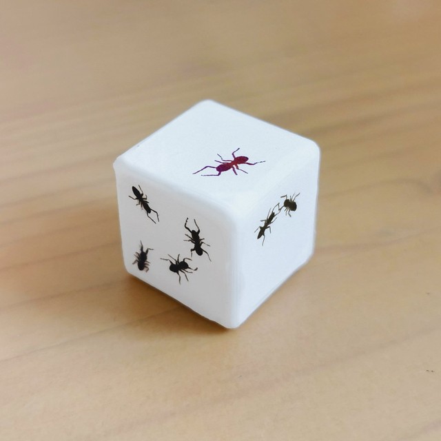 八羽さんが作ったアリのサイコロ（画像提供：八羽さん）