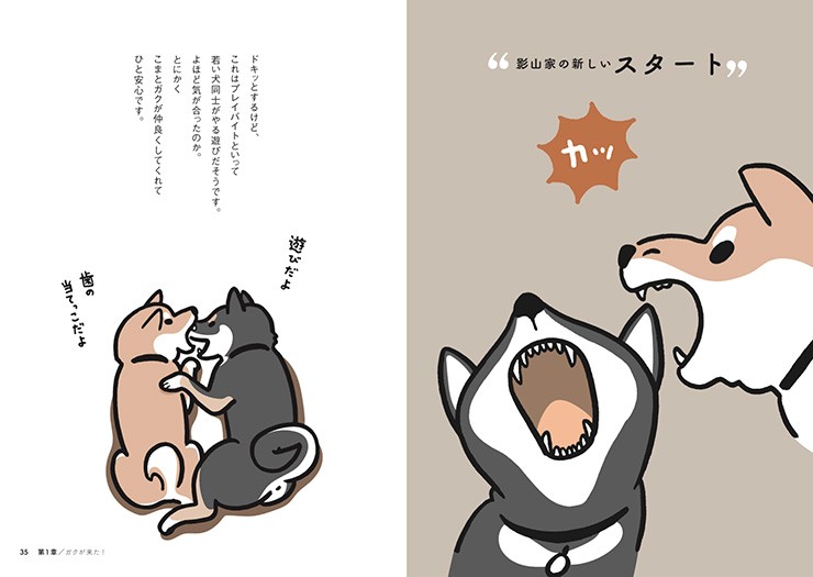 「会えてよかった　柴犬さんのツボ」ガクが来た！より（辰巳出版提供）