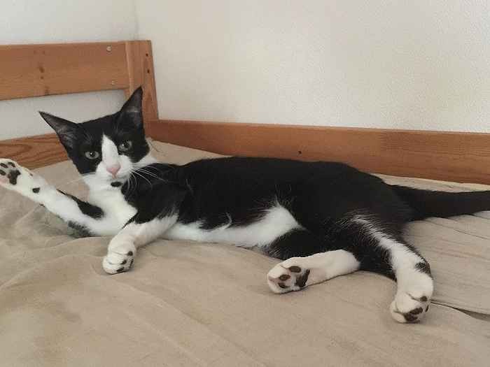 「寝込みを襲わないでね」