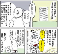 出産前に余裕を見せていたヤマモトさん　　(c)Kido Yamamoto